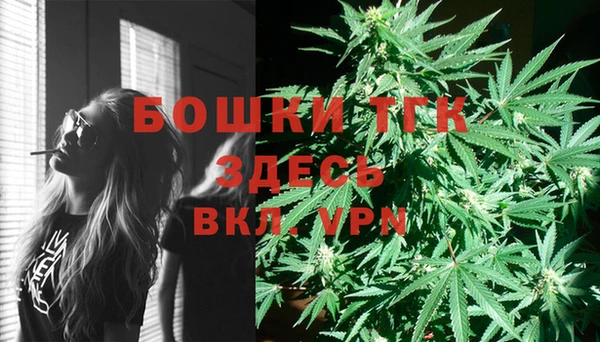 2c-b Верхний Тагил